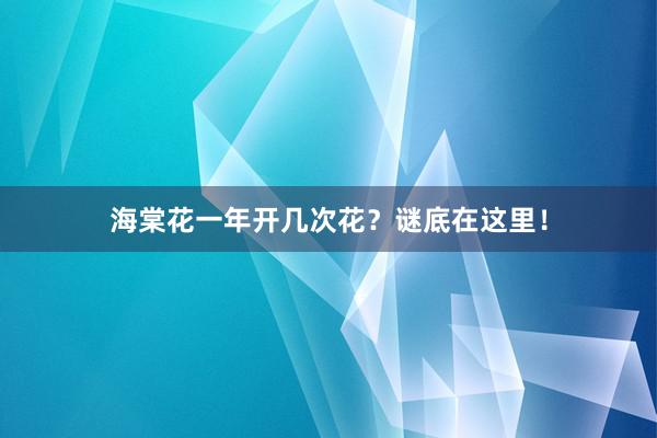 海棠花一年开几次花？谜底在这里！