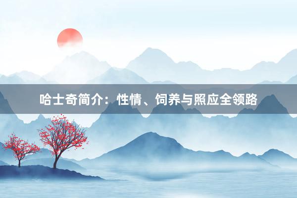 哈士奇简介：性情、饲养与照应全领路